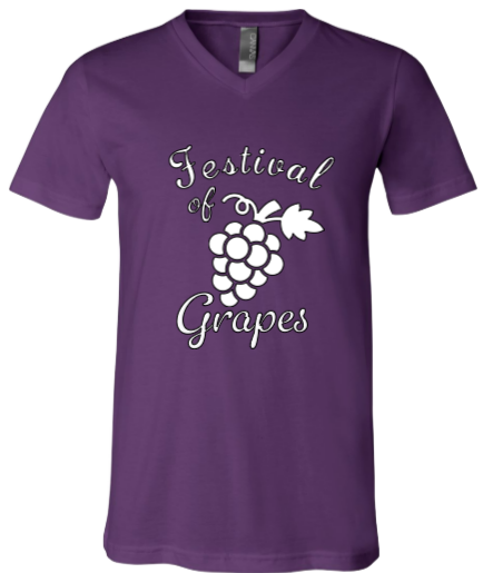 Purple Unisex V-Neck Tee